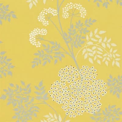 Cowparsley Wallpaper — Yellow,Gray,White