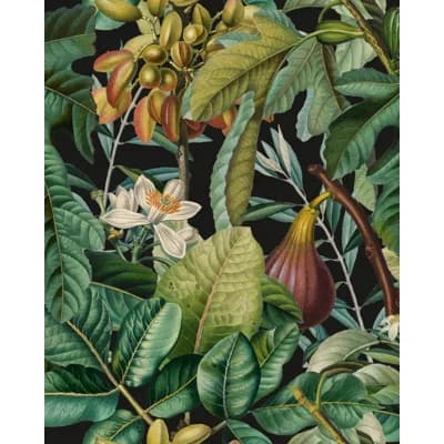 Tropical Wanderlust Non-Pasted Matte Wallpaper Roll — Green,Brown,Black