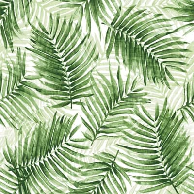 Escape Route — Aloe