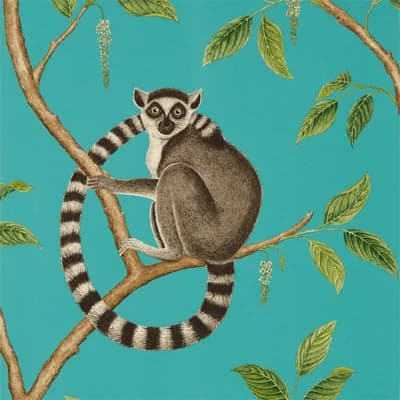 Ringtailed Lemur Wallpaper — Teal
