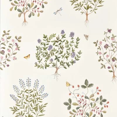 Highgrove Thyme Walk — Damson,Quince