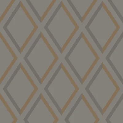 Pompeian Geometric Non-Pasted Wallpaper Roll — Slate,Bronze