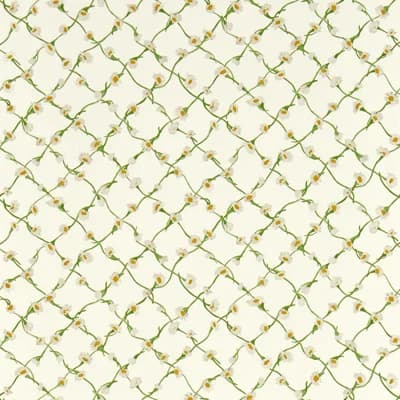 Daisy Trellis Wallpaper — Emerald,Pearl