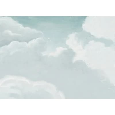 Matte Wall Mural — White;Blue