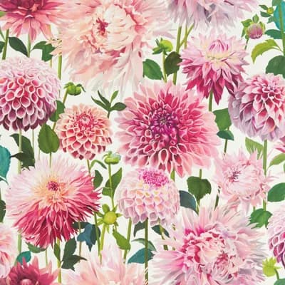 Dahlia Wallpaper — Blossom,Emerald,New Beginnings