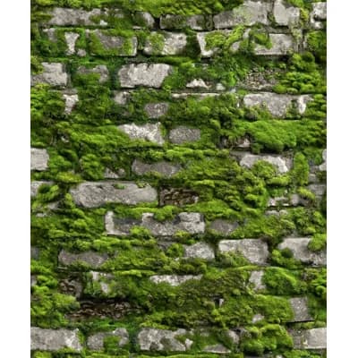 Bricks and More Collection Mossy Stone Wall Wallpaper Roll — Green