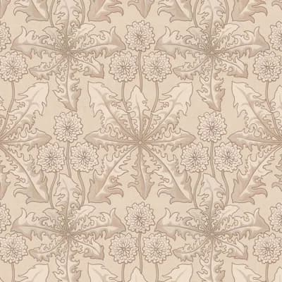 Taraxa Phlox Wallpaper — Phlox