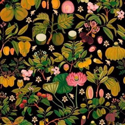 Florilegium Floral Non-Pasted Matte Wallpaper Roll — Green,Black,Pink