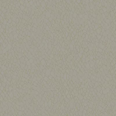Boutique Metallic Webbing Wallpaper Roll — Beige
