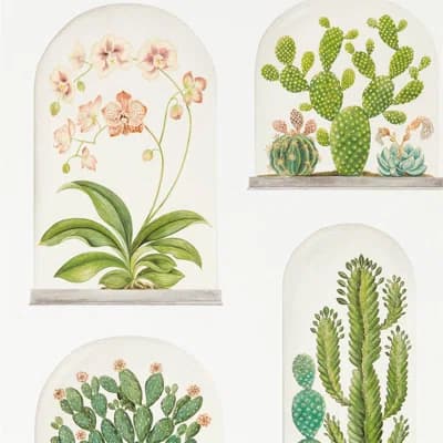 Terrariums Wallpaper — Chalk,Green