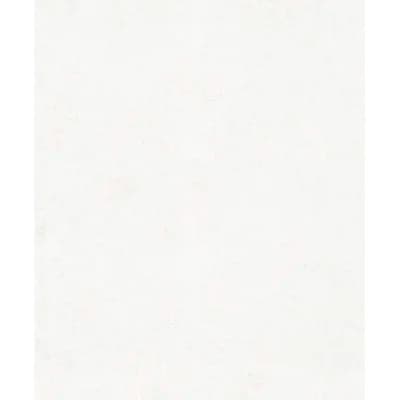 The Textures Book Structure Distressed Concrete 33' L X 21" W Wallpaper Roll — White