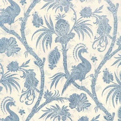 Kravet Design - W4200-8 — White,Charcoal