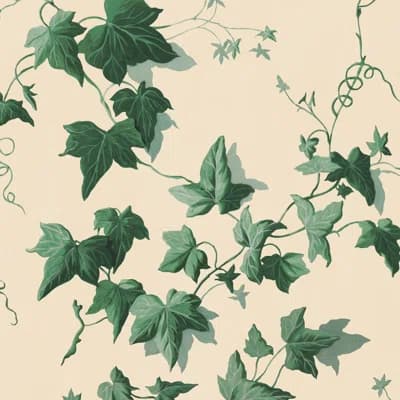 Hedera 9.84' L x 70.8" W Wallpaper Roll — Viridian,Green