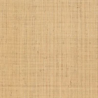 Nakara Fine Wallpaper — Natural