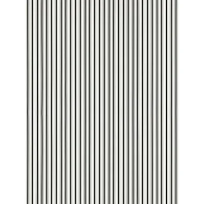 Johnson Stripe Wallpaper Roll — Onyx