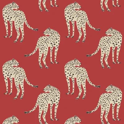 Prowling Cheetah - Wallpaper — Scarlet Chase