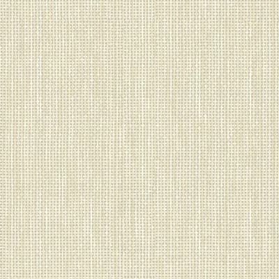 Ambretta 16.5' L x 20.5" W Peel and Stick Wallpaper Roll — Beige