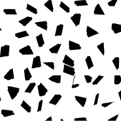 Flake Abstract Non-Pasted Matte Wallpaper Roll by Jamie Graney — Black,White