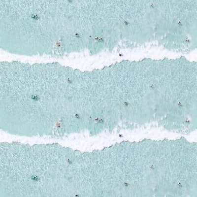 Ocean Swimmers 10' L x 24" W Wallpaper Roll — Blue,White