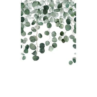 Orom II Collection Raining Eucalyptus Leaf 62.5-inches wide x 9.18-feet high 3-panel Wall Mural — Green
