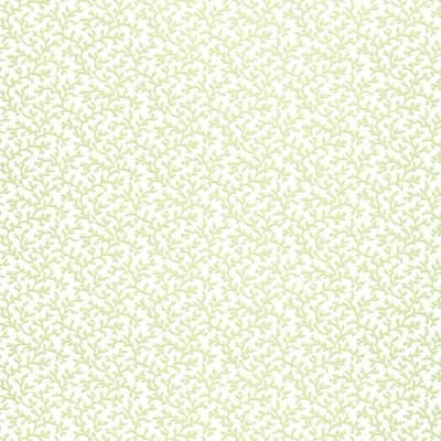 Coral Vine Wallpaper — Aloe