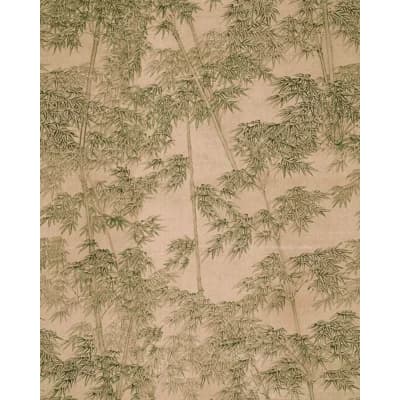 BAMBOO FIELD Sagewood — Green,Tan
