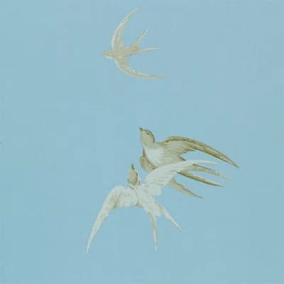 Swallows Wallpaper — Wedgwood