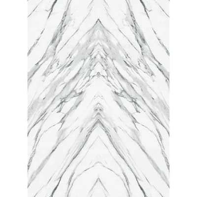 Davenia 108' L x 78" W Peel and Stick Wall Mural — Black;Beige