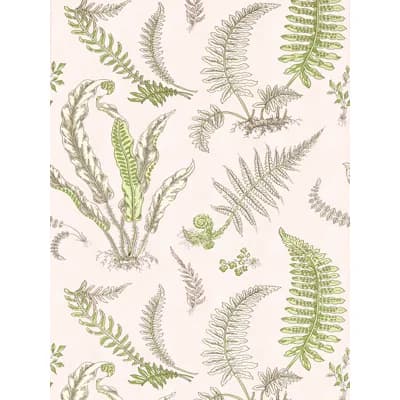 Elsie De Wolfe Wallcovering — Ballet Slipper