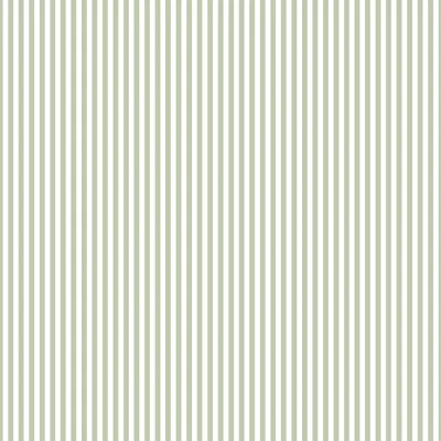 Little Explorers 2 Small Stripe Wallpaper Roll — Green