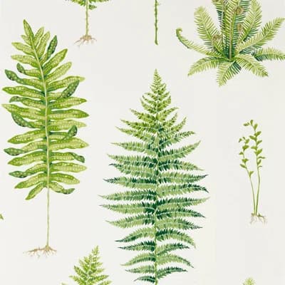Fernery Wallpaper — Botanical Green