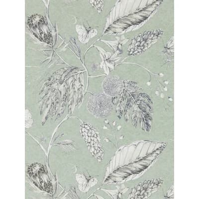 Amborella Wallpaper — Seaglass