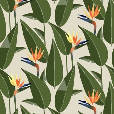 Birds of Paradise - Wallpaper — Sand