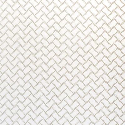 Schumacher x Neisha Crosland Parterre Wallpaper — Silver