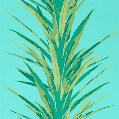 Yucca Wallpaper — Sky,Green