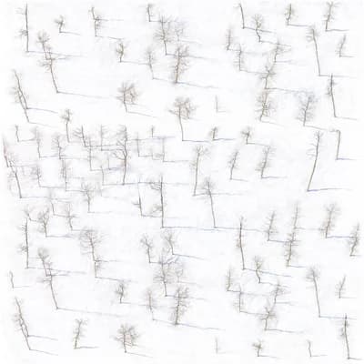 Birch Trees 10' L x 24" W Wallpaper Roll — White,Blue,Brown