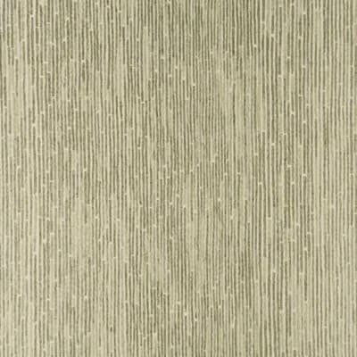 Wallpaper Roll — Champagne