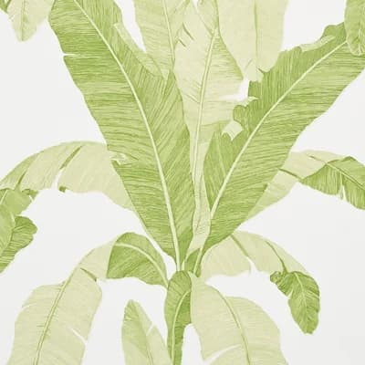 Erisimo Wallpaper — Leaf