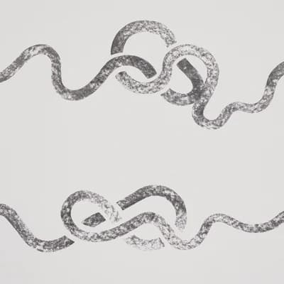 Schumacher x Backdrop Rhapsody Wallpaper — Graphite