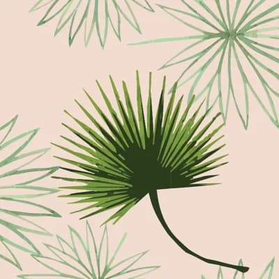 Cabbage Palm 10' L x 24" W Peel and Stick Wallpaper Roll — Pink