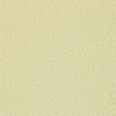 Standen Wallpaper — Ivory,Off White