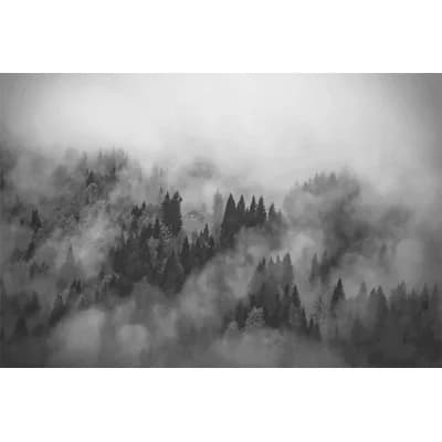 Matte Wall Mural — Black;Gray