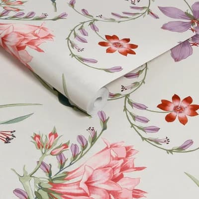 Graham & Brown Botanists Scroll Duck Egg Wallpaper — Red
