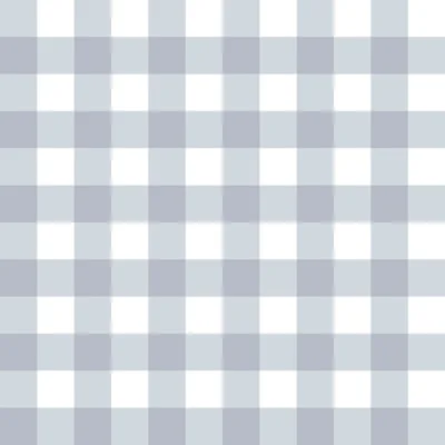 Little Explorers 2 Tartan Boom Wallpaper Roll — Blue