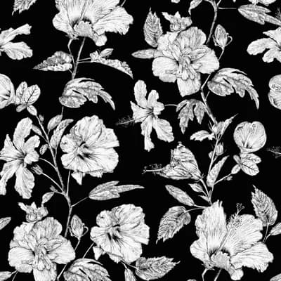 Hibiscus Haiti Flower Wallpaper — Ebony