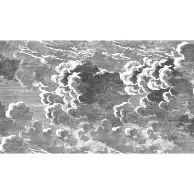 Fornasetti Senza Tempo Non-Pasted Matte Wallpaper Roll — Black,White