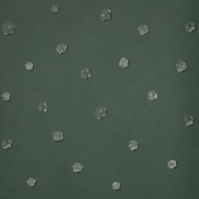Schumacher x Backdrop Heavenly Bodies Wallpaper — Deep Green