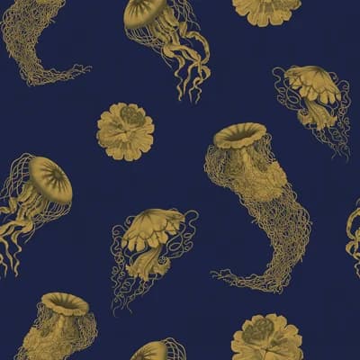 Medusa — Varuna
