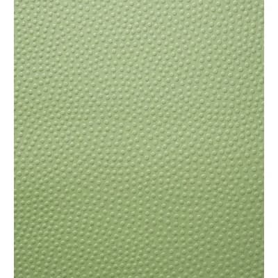 Les Papiers Polka Dot Non-Pasted Wallpaper Double Roll — Vert