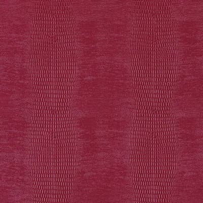 Komodo Wallpaper — Lacquer